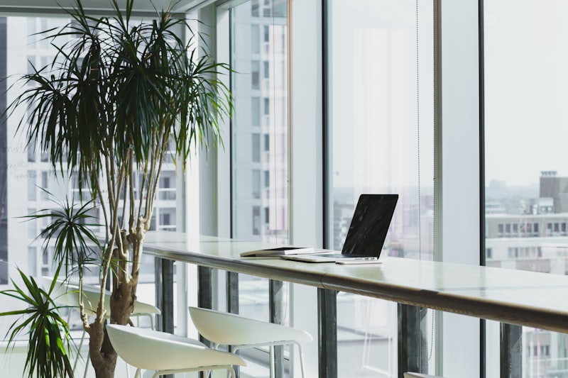 Notion as a single project management system
